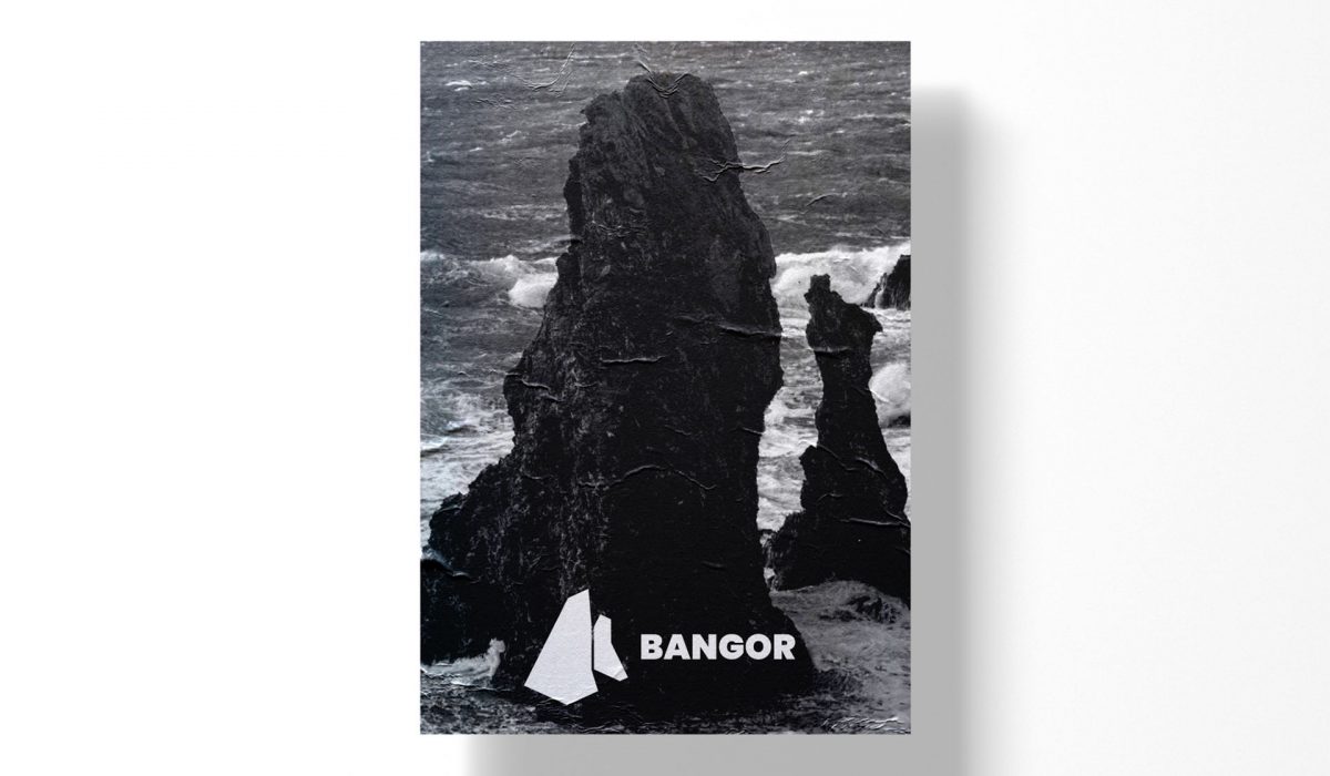 Mockup d'un poster affichant le logo de bangor et une photo des aiguiles de port coton