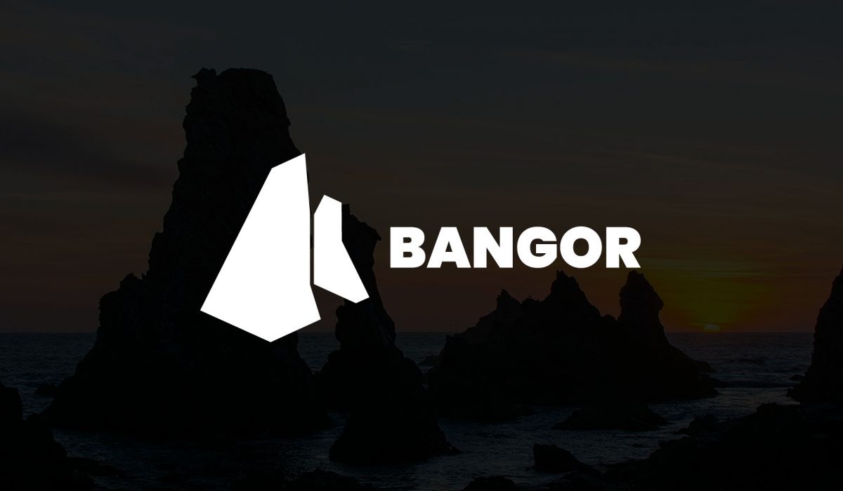 Logo de la ville de bangor sur fond noir laissant apparaitre les aiguilles de port coton